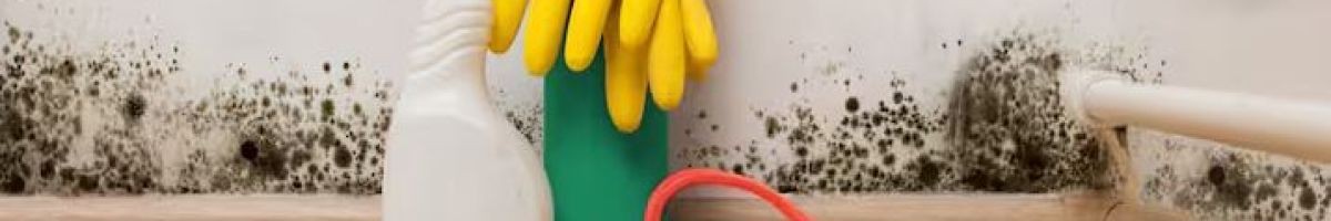 Charm City Mold Inspections
