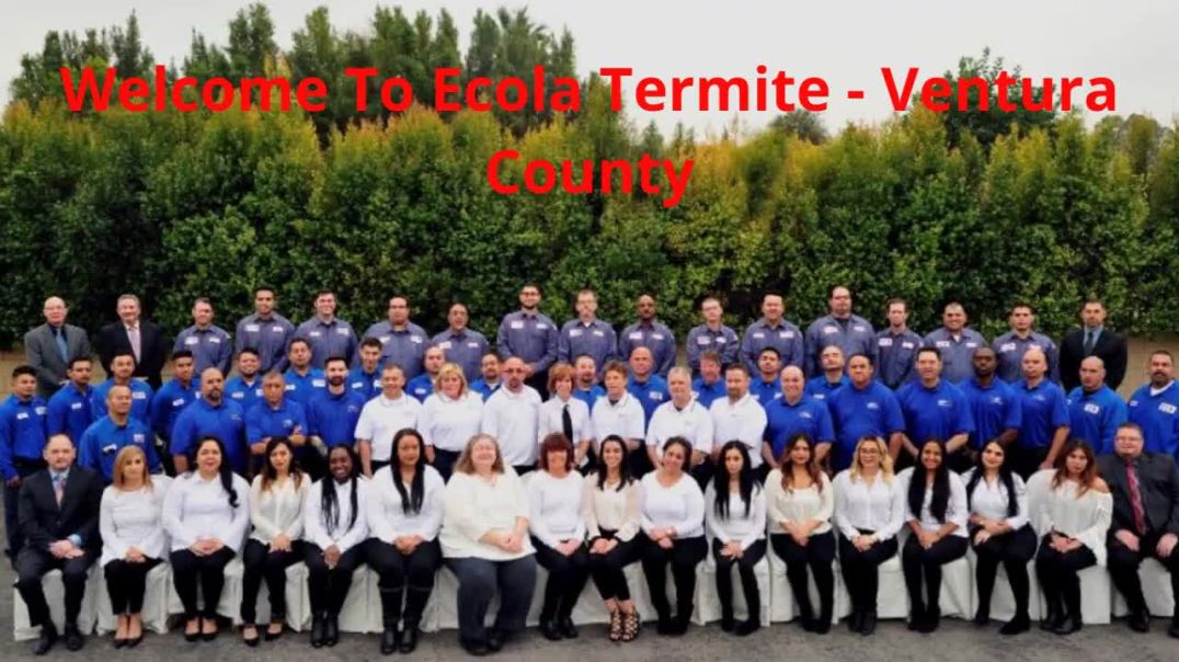 ⁣Ecola Termite | Best Exterminator in Ventura, CA