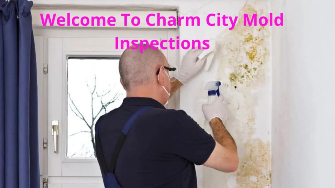 ⁣Charm City Mold Inspections - Best Mold Testing in Baltimore, MD