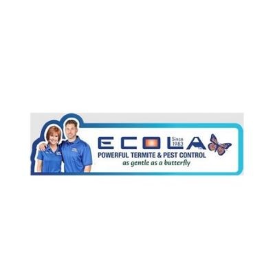 Ecola Termite - Ventura County 