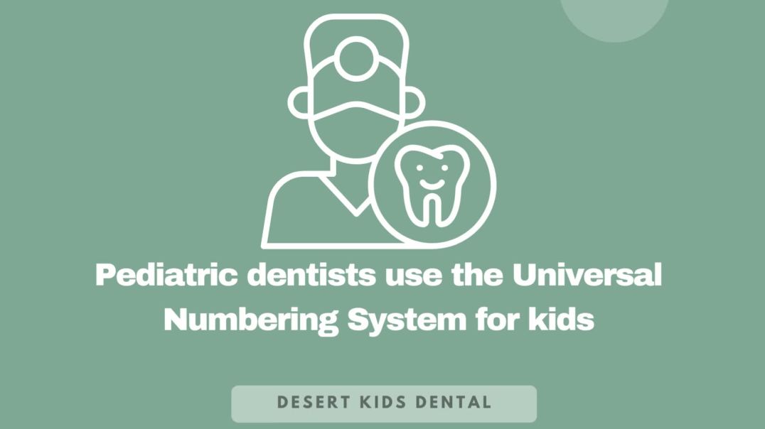 ⁣How Pediatric Dentists Number Baby Teeth