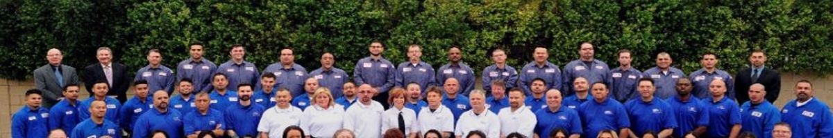 Ecola Termite - Ventura County 