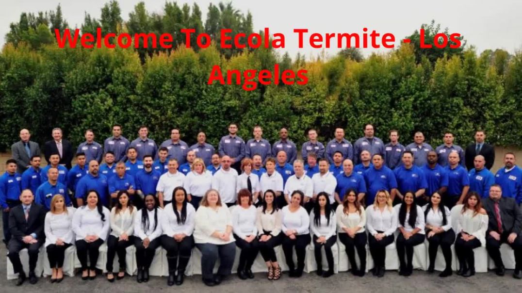 ⁣Ecola Termite | Best Pest Control in Los Angeles, CA