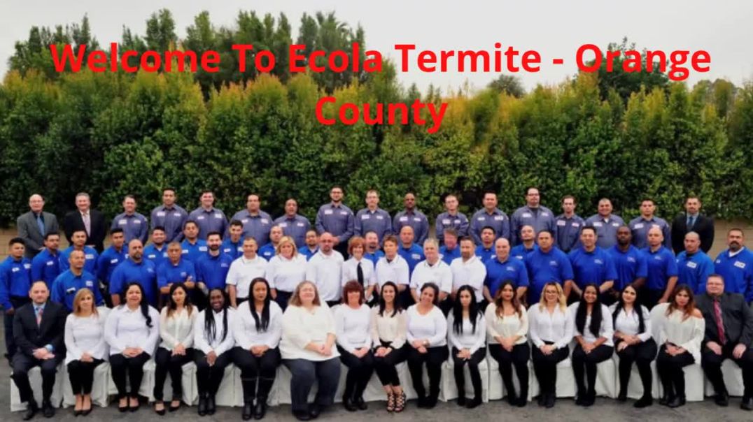 ⁣Ecola Termite Inspection in Orange County, CA