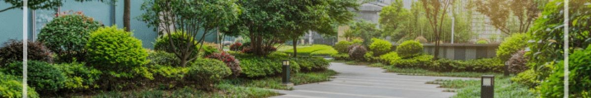 Wabi Sabi Landscape & Construction