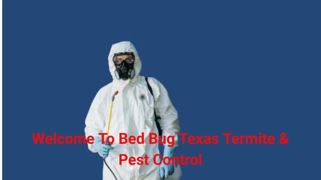 ⁣Bed Bug Texas Termite & Pest Control - Bed Bug Removal in Cypress