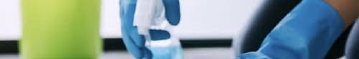 Bee-Dazzled Cleaning Service 