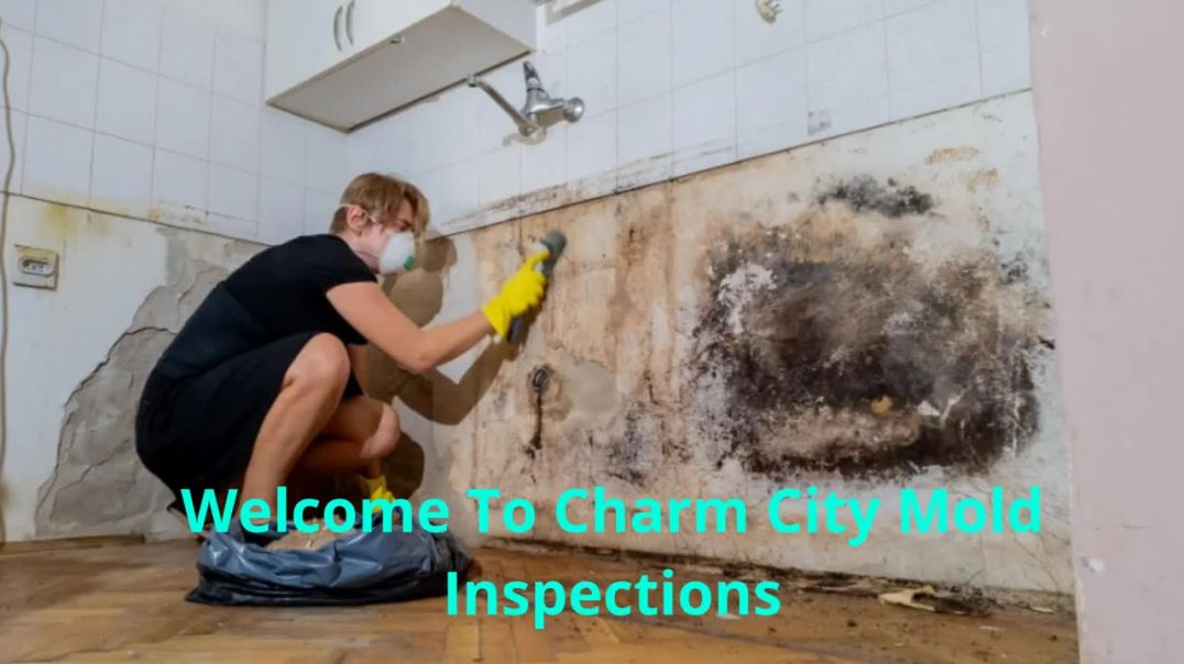 ⁣Charm City Mold Inspection in Baltimore, MD | (443) 635-7497