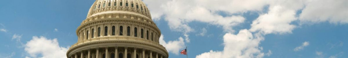 Capitol 50 Consultants Inc