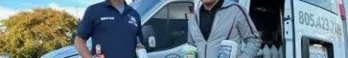 Steam Action Carpet Cleaning 