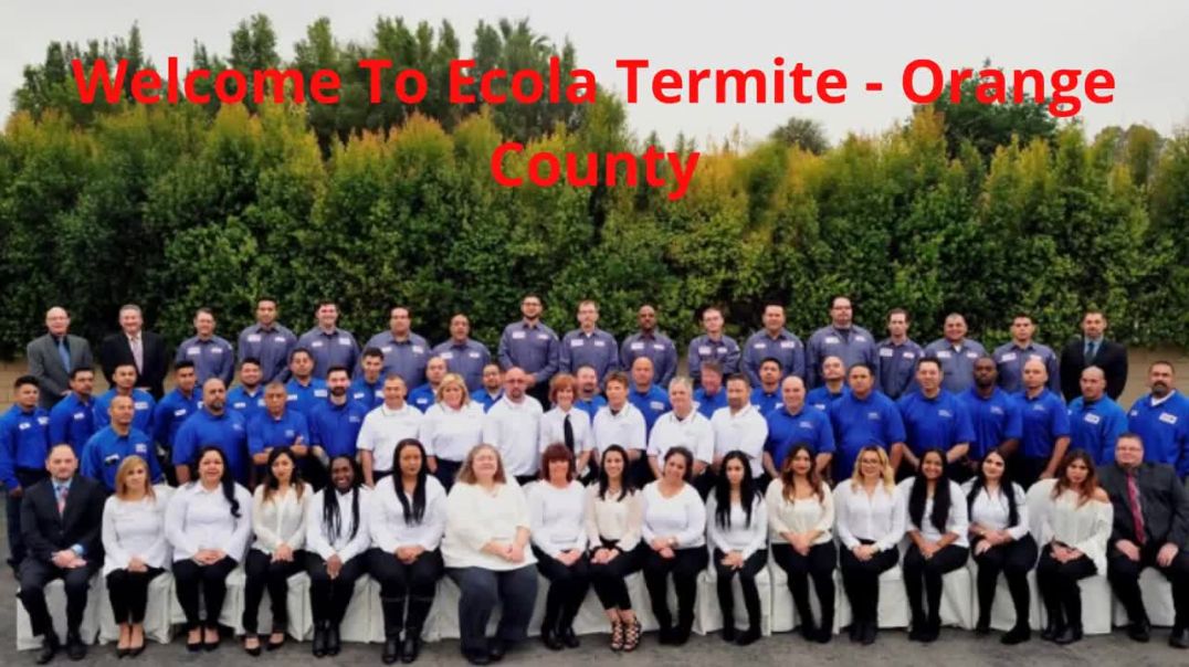 ⁣Ecola Termite - Pest Control in Orange County, CA