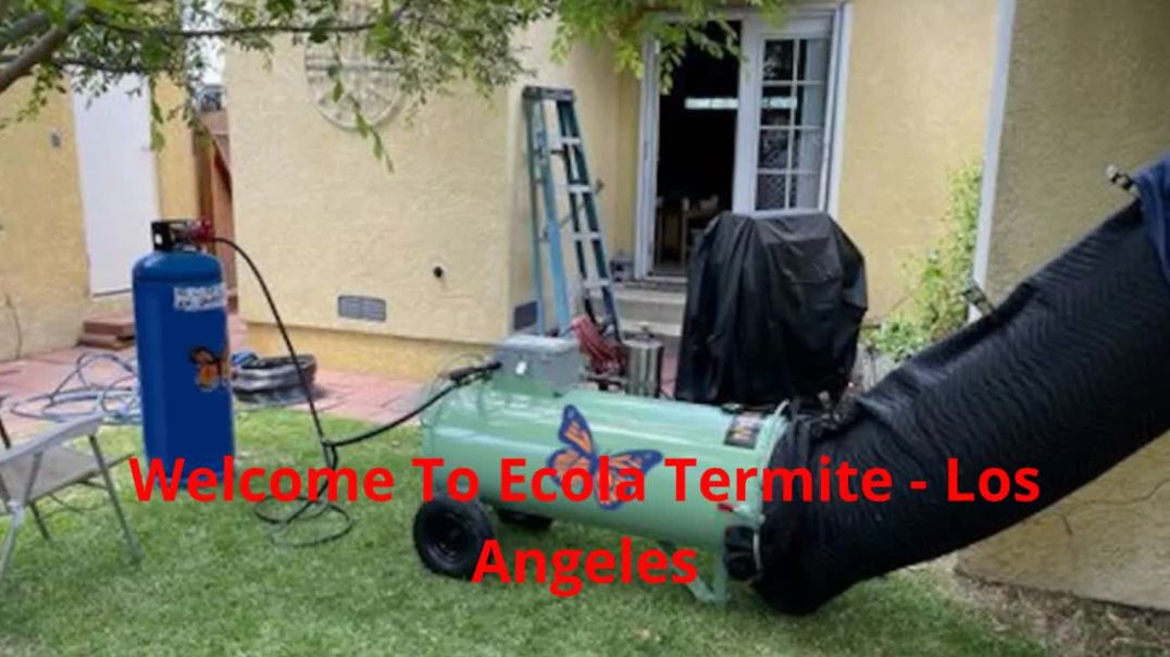 ⁣Ecola Termite - Extermination in Los Angeles, CA