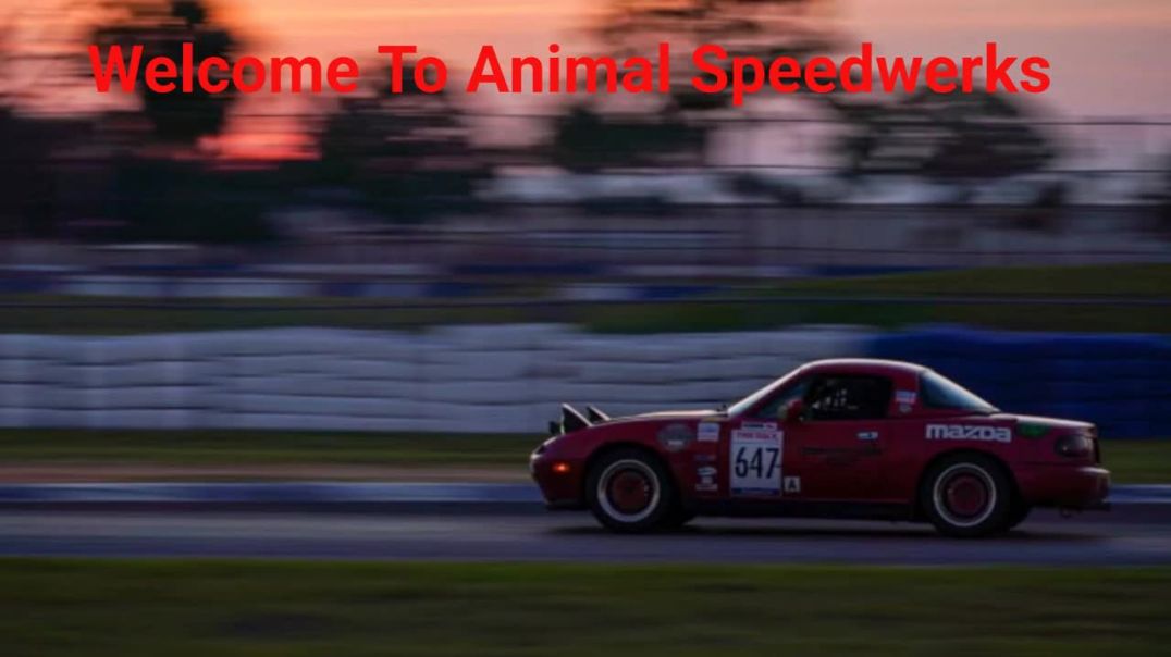 ⁣Animal Speedwerks Repairs - Reliable Auto Shops in Crossville, TN