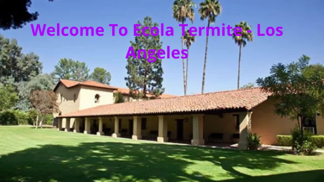 ⁣Ecola Termite - Pest Control in Mission Hills, CA