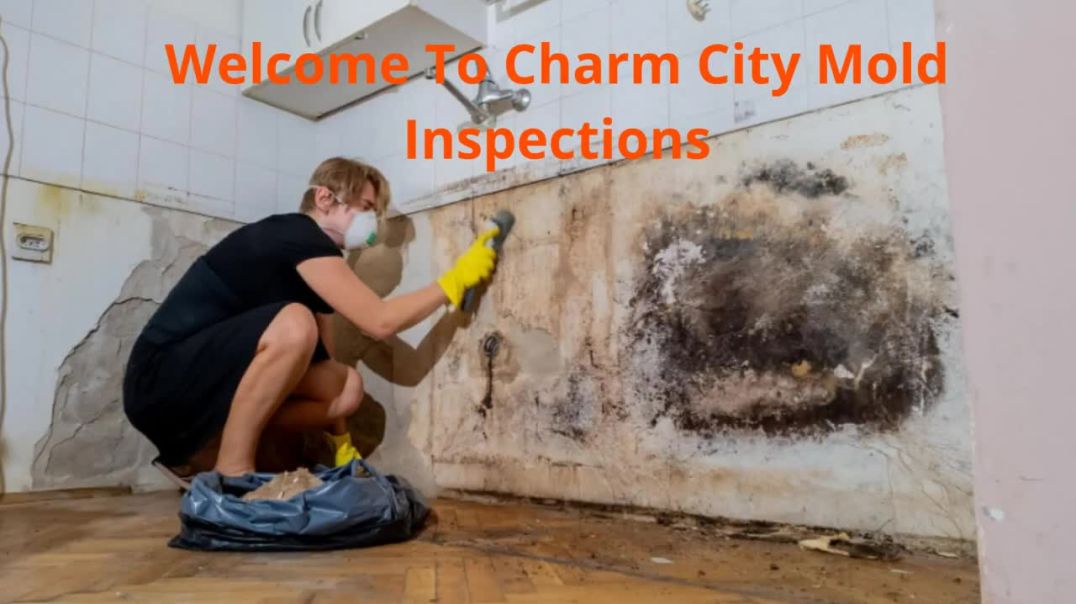 ⁣Charm City Mold Inspections - Reliable Mold Testing in Baltimore, MD