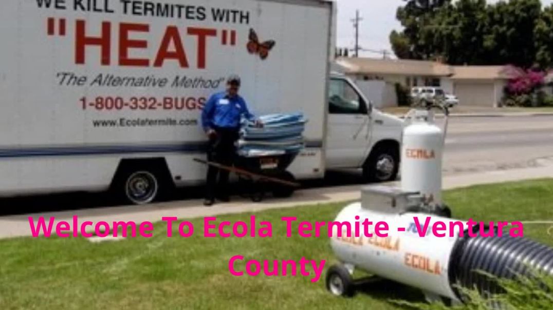 ⁣Ecola Termite - Efficient Pest Control in Ventura, CA