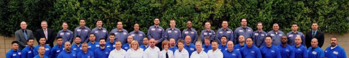 Ecola Termite - Orange County 