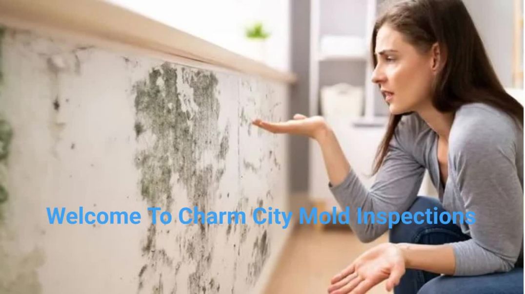 ⁣Charm City Mold Inspector in Baltimore, MD