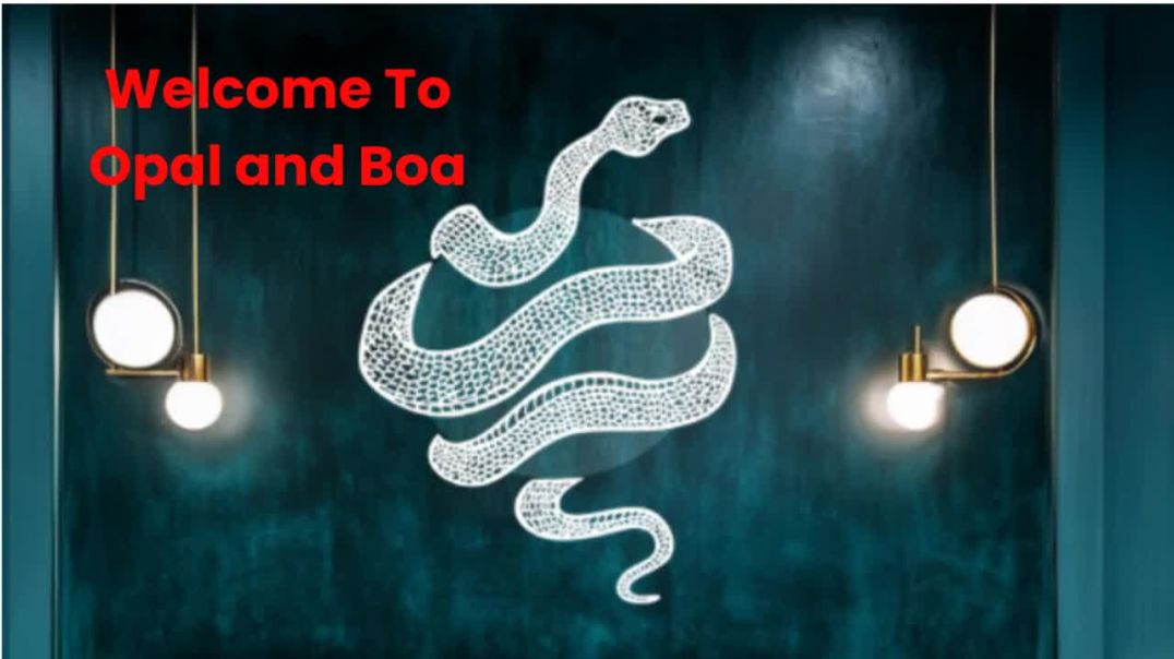 Opal and Boa : Best Hairdresser in Philadelphia, PA