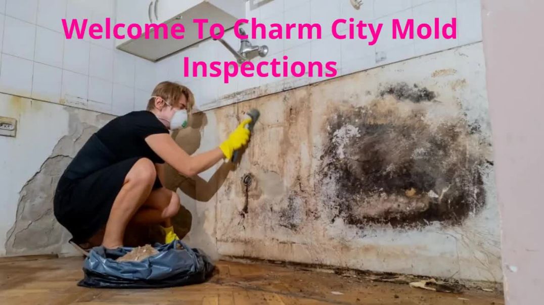 Charm City Mold Inspections - Certified Mold Testing in Baltimore, MD