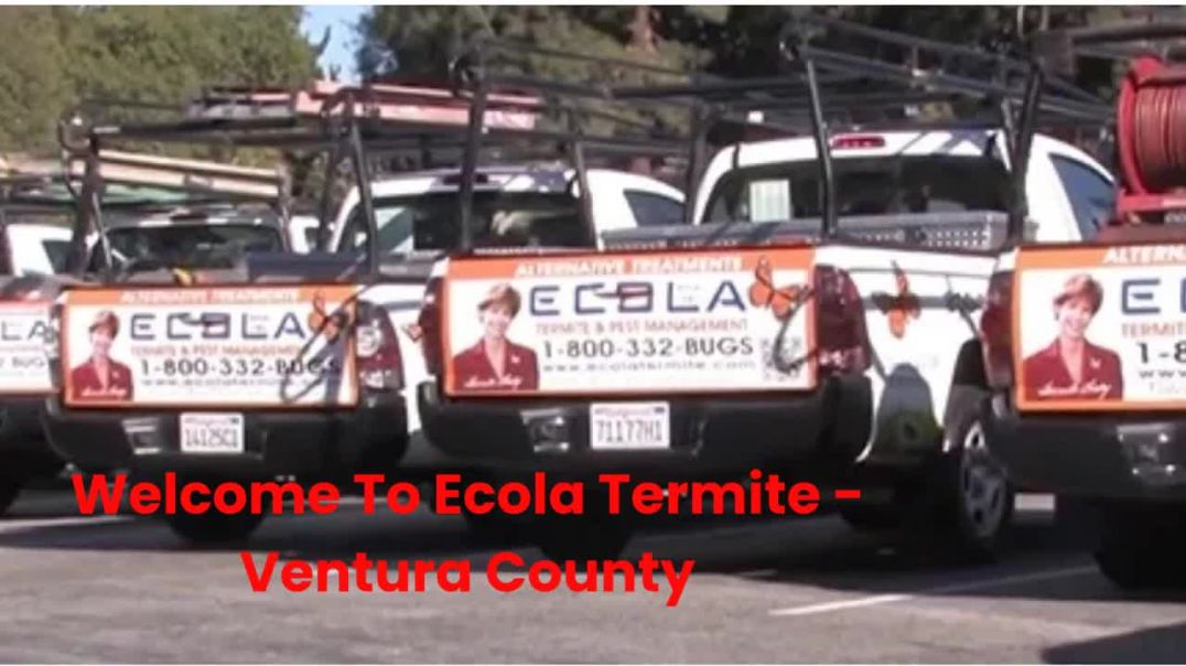 ⁣Ecola Termite - #1 Pest Control in Ventura County | 93036