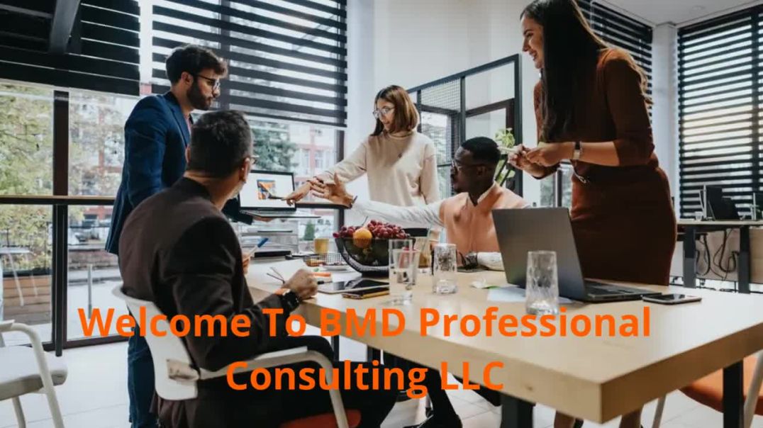⁣BMD Professional Consulting LLC - Fractional Controller in Reston, VA