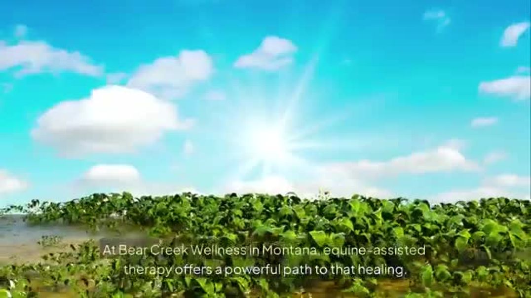 ⁣How Equine Therapy Helps in Trauma and Substance Use Healing in Montana