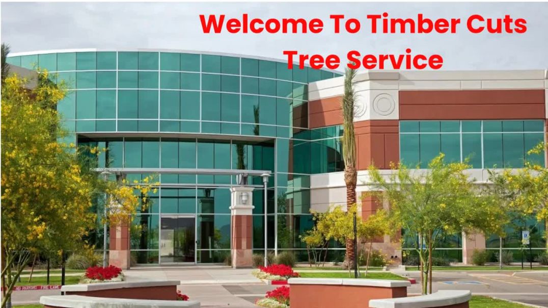⁣Timber Cuts Tree Trimming Service in Farmington, UT