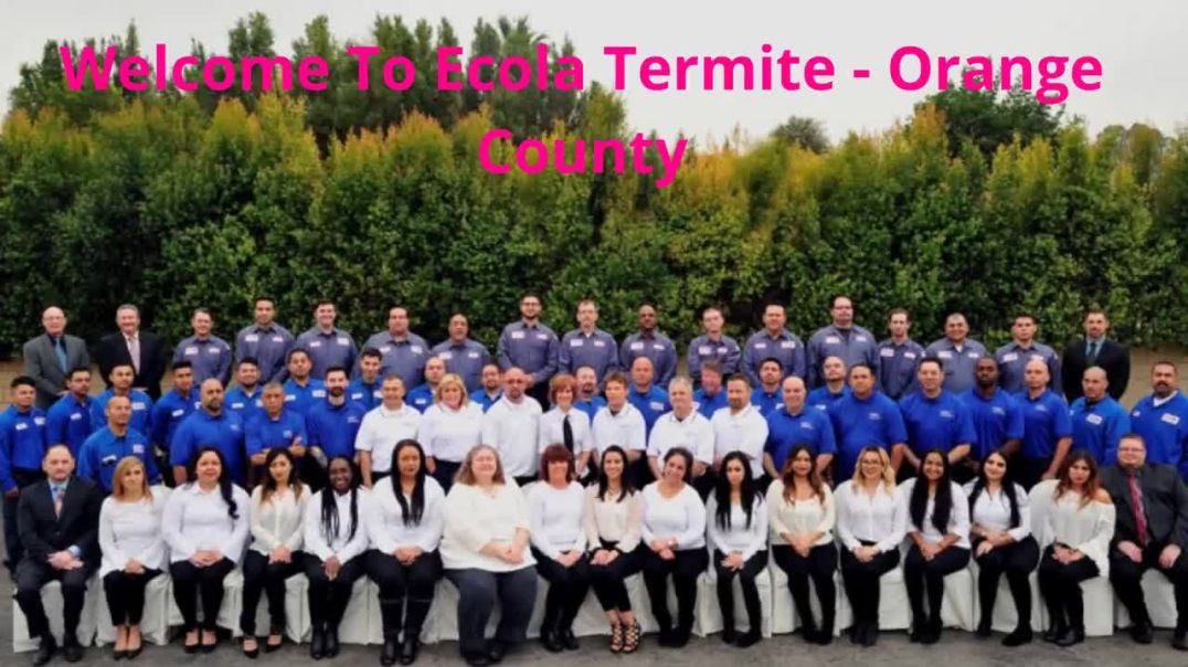 ⁣Ecola Termite - Affordable Pest Control in Orange County, CA