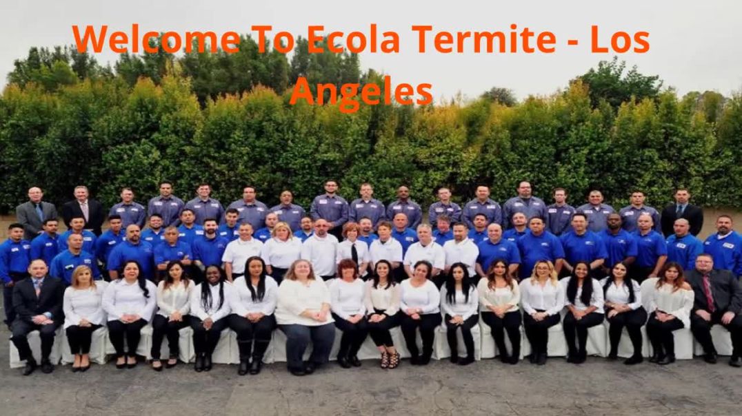⁣Ecola Termite - Trusted Pest Control in Los Angeles, CA