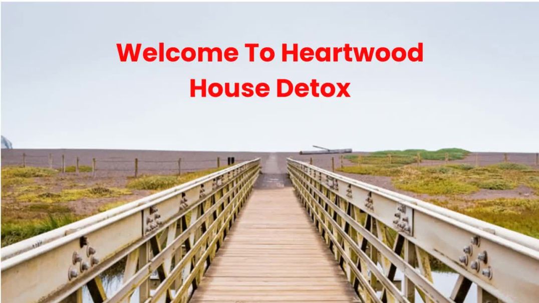 ⁣Heartwood House Detox : Trusted Alcohol Rehab in Marin County | (415) 419–8816