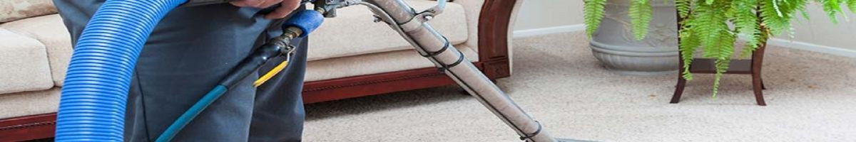 Sunshine Carpet Cleaning 