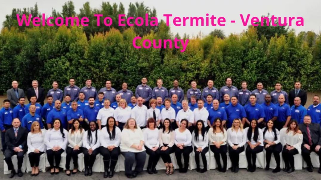Ecola Termite – Trusted Pest Control in Oxnard, CA