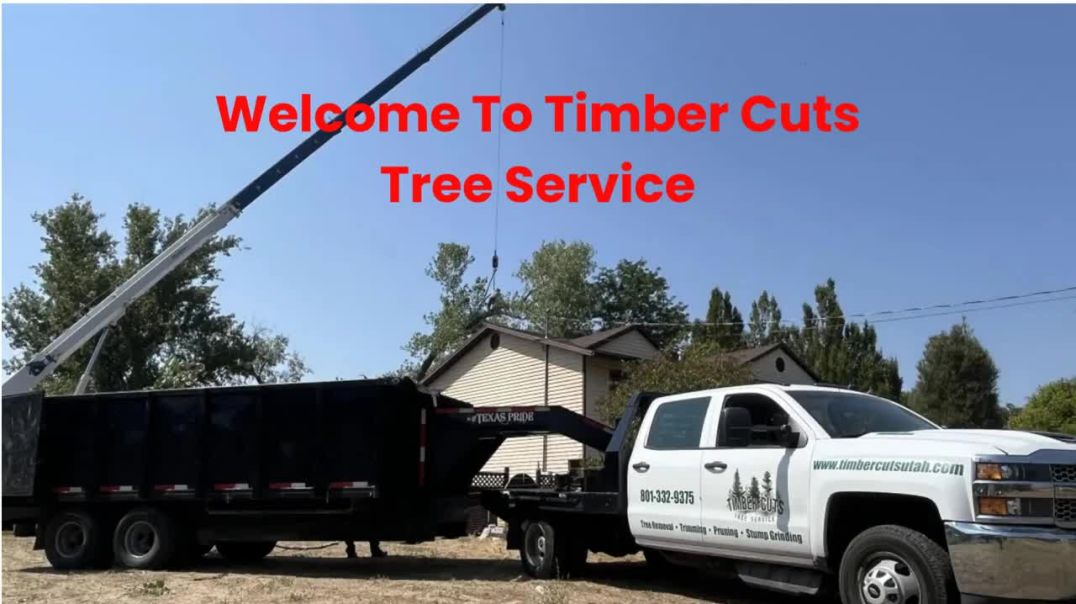 ⁣Timber Cuts Tree Pruning Service in Centerville, UT