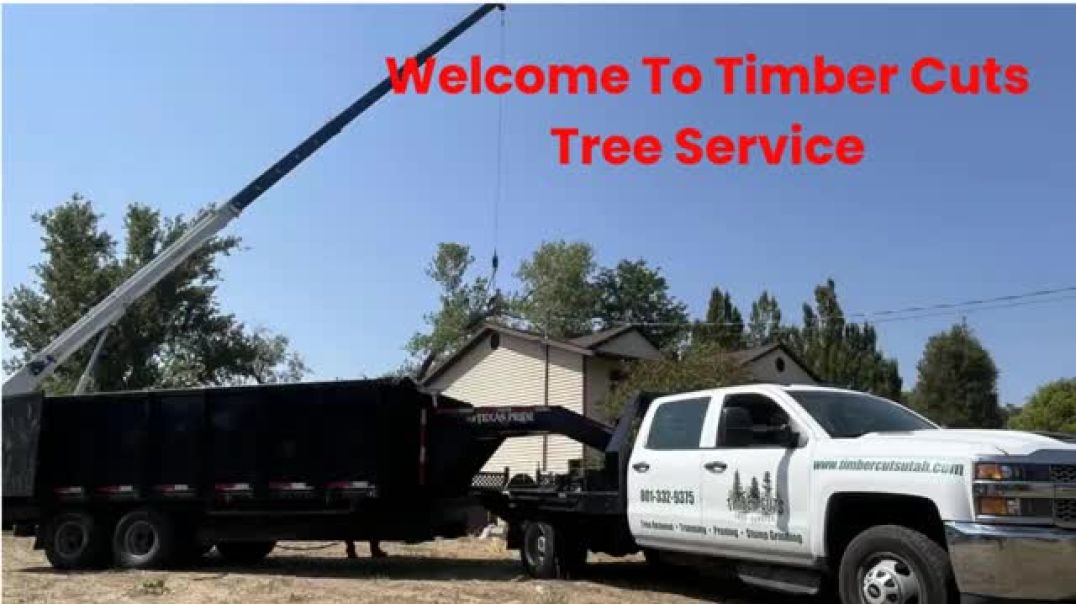 ⁣Timber Cuts Tree Pruning Service in Farmington, UT