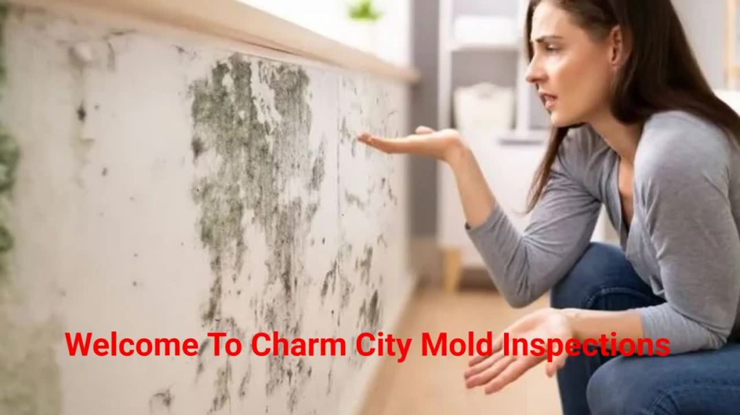 ⁣Charm City Mold Inspections - Reliable Mold Remediation in Baltimore, MD