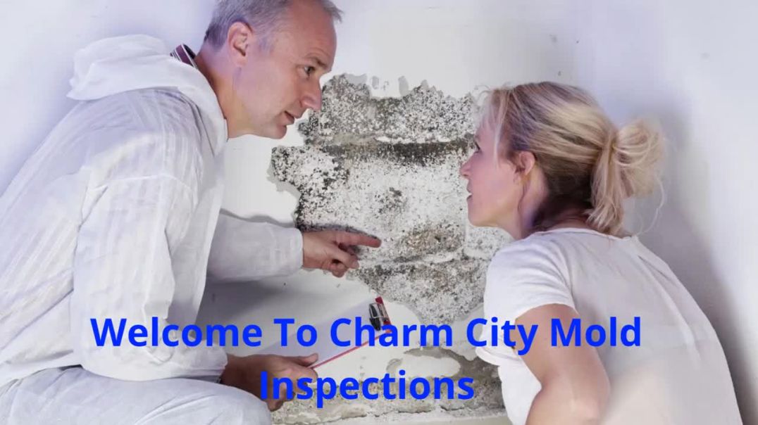 ⁣Charm City Mold Inspections – Affordable Mold Testing in Baltimore, MD