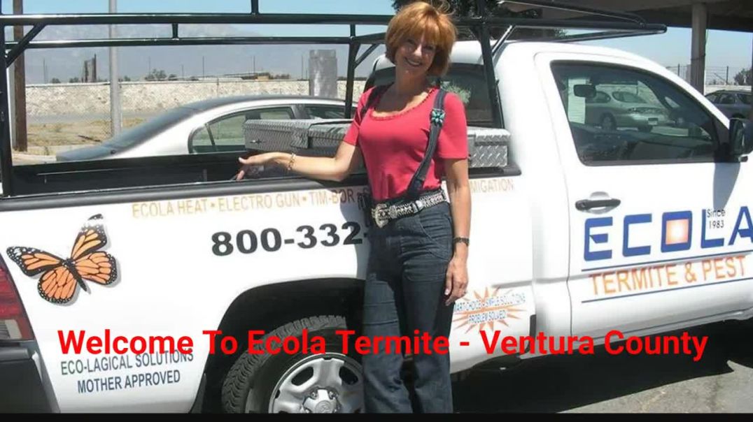 ⁣Ecola Termite | Eco-Friendly Pest Control in Ventura, CA