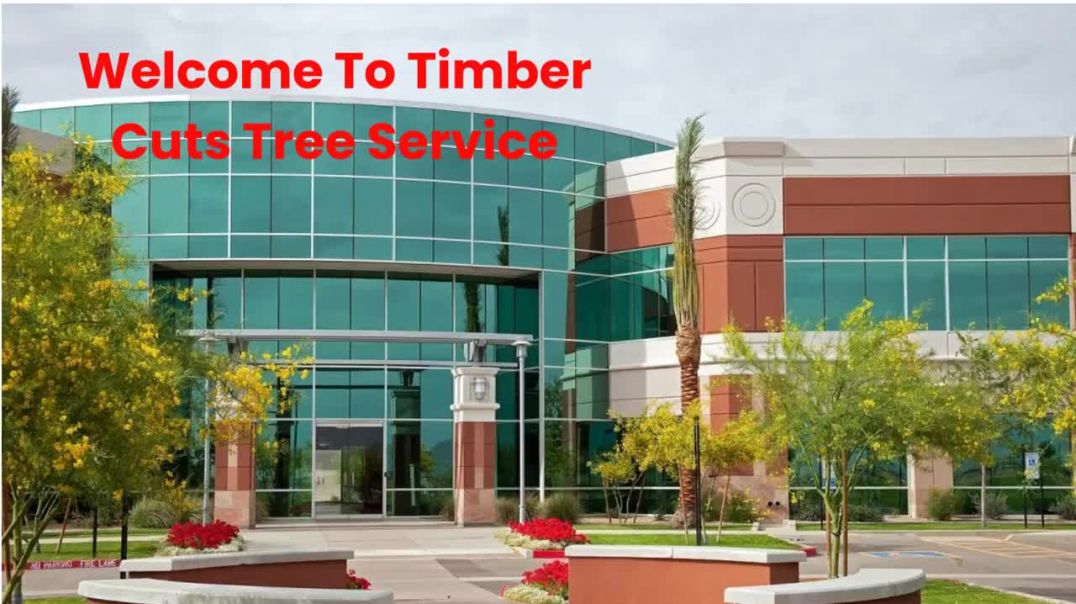 ⁣Timber Cuts Tree Service in Kaysville, UT | (801) 335-9650