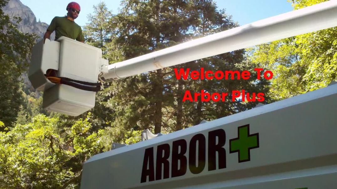⁣Arbor Plus : Tree Removal in Salt Lake City, UT