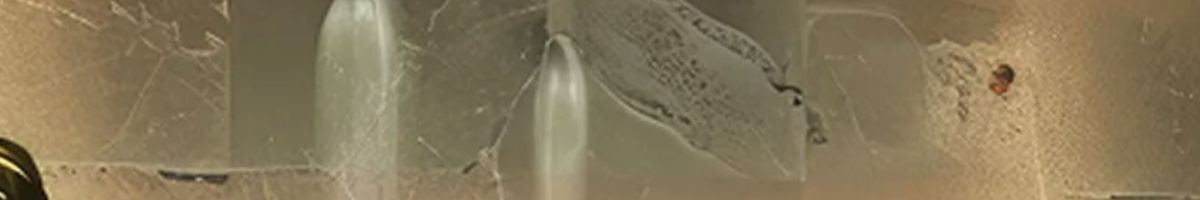 Rakhov Home Services 