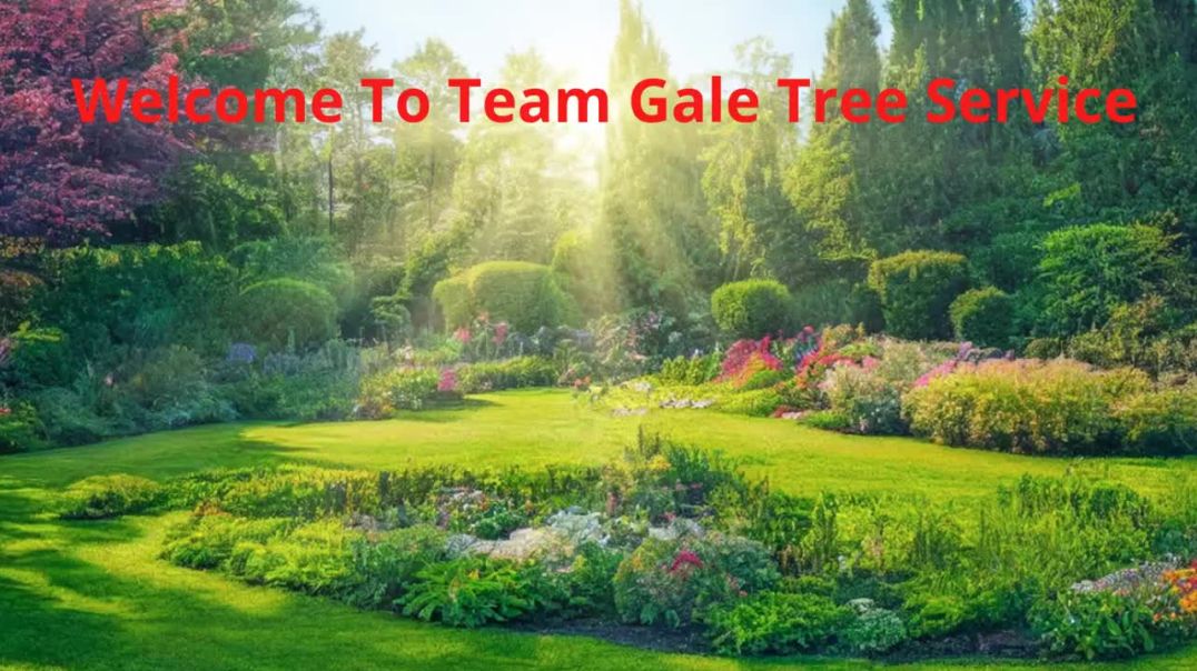 ⁣Team Gale Tree Pruning Service in Riverside, NJ