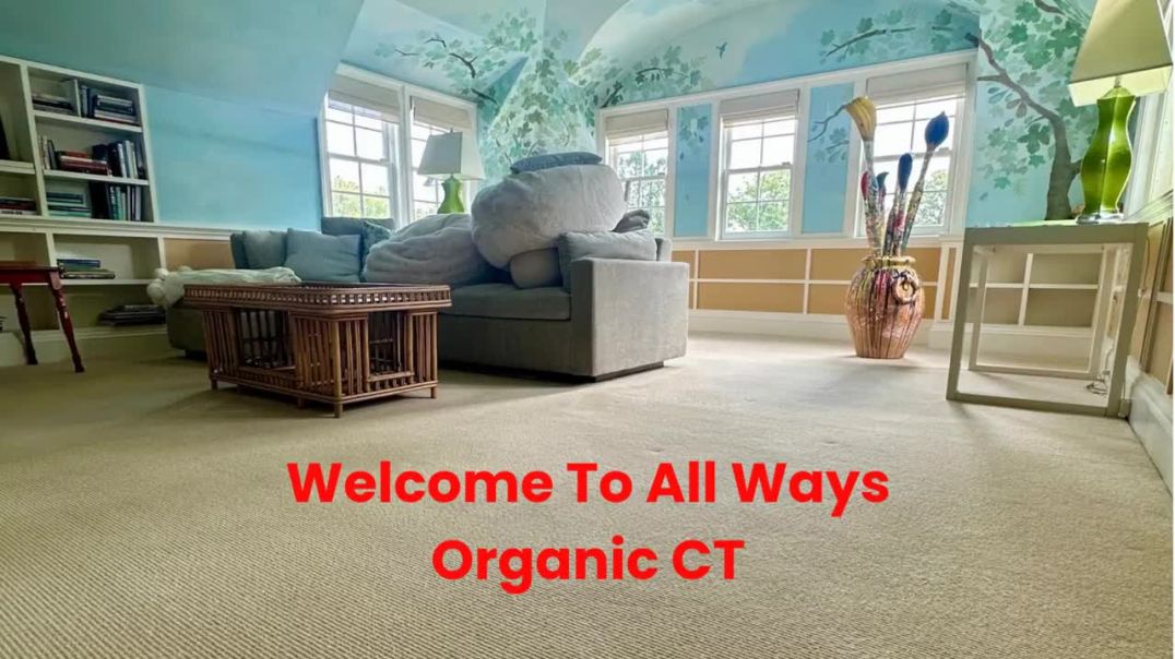 ⁣All Ways Organic  : #1 Carpet Cleaning in New Haven, CT