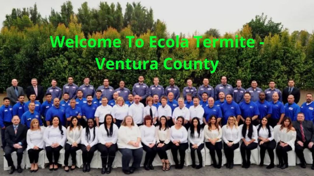⁣Ecola Termite - Reliable Exterminator in Ventura, CA