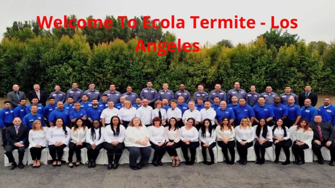 ⁣Ecola Termite - Mother Approved Exterminator in Los Angeles, CA