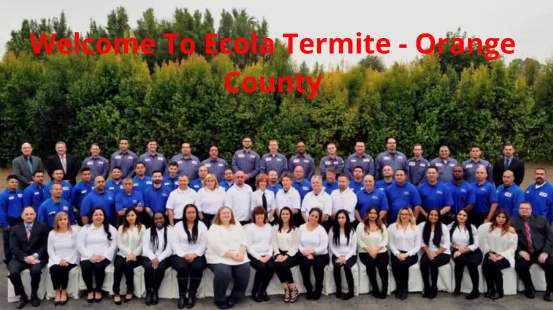 ⁣Ecola Termite Inspection in Orange County, CA | 92805