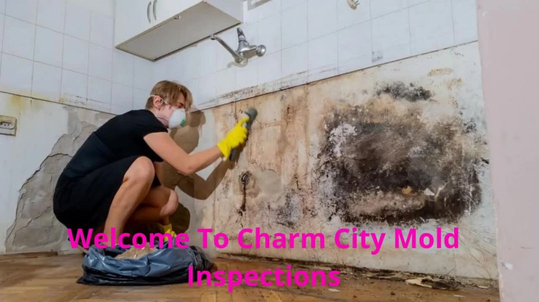 ⁣Charm City Mold Inspections - Trusted Mold Testing in Baltimore, MD