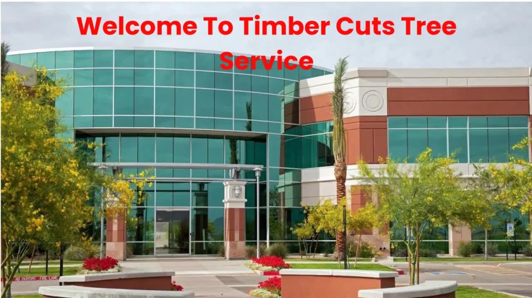 ⁣Timber Cuts Tree Service : Tree Trimming in Davis County, UT