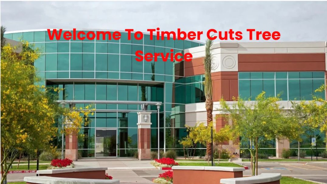 ⁣Timber Cuts Tree Service : Tree Trimming in Weber County, UT