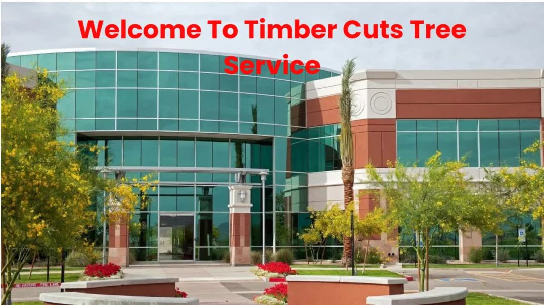 Timber Cuts Tree Service : Tree Pruning in Bountiful, UT